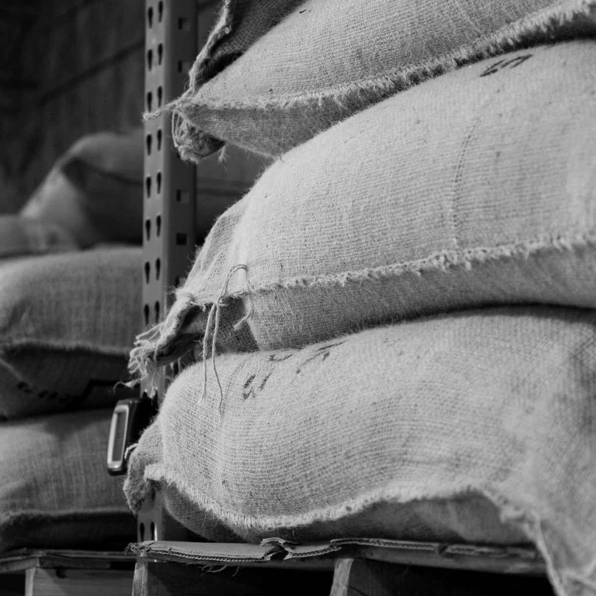 Green coffee bags stored in a warehouse prior to roasting for Pit City coffee.